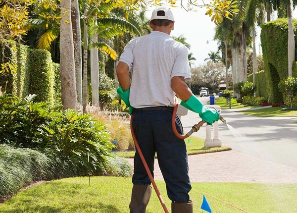About Plantsville CT Pest Control